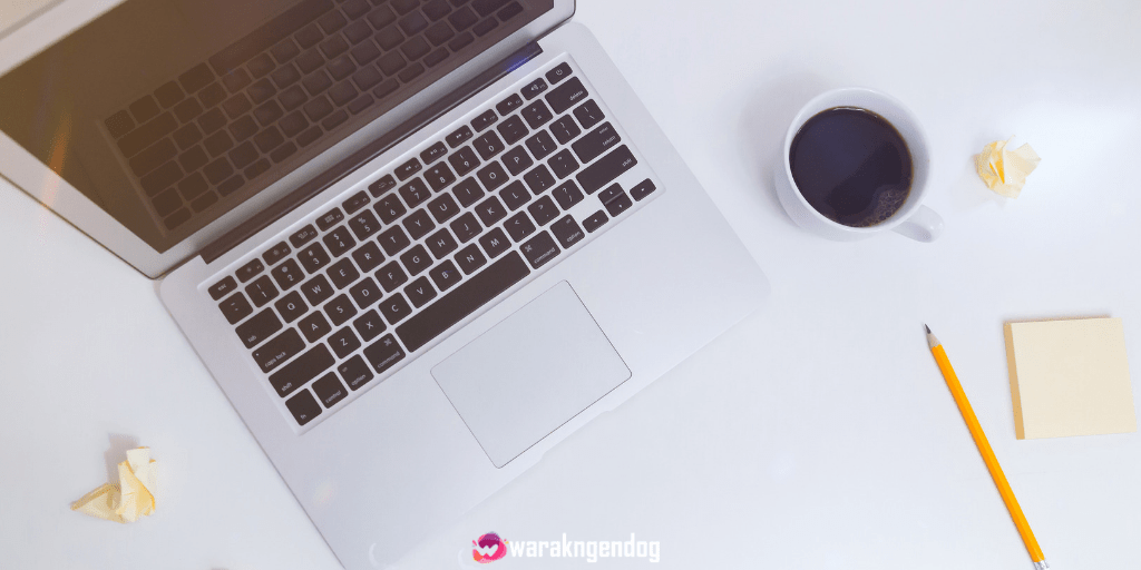 jasa web development