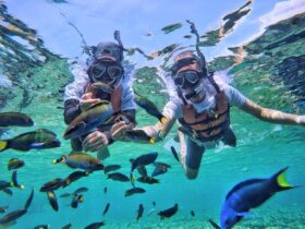 karimunjawa