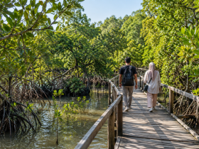 Mangrove Tapak Semarang